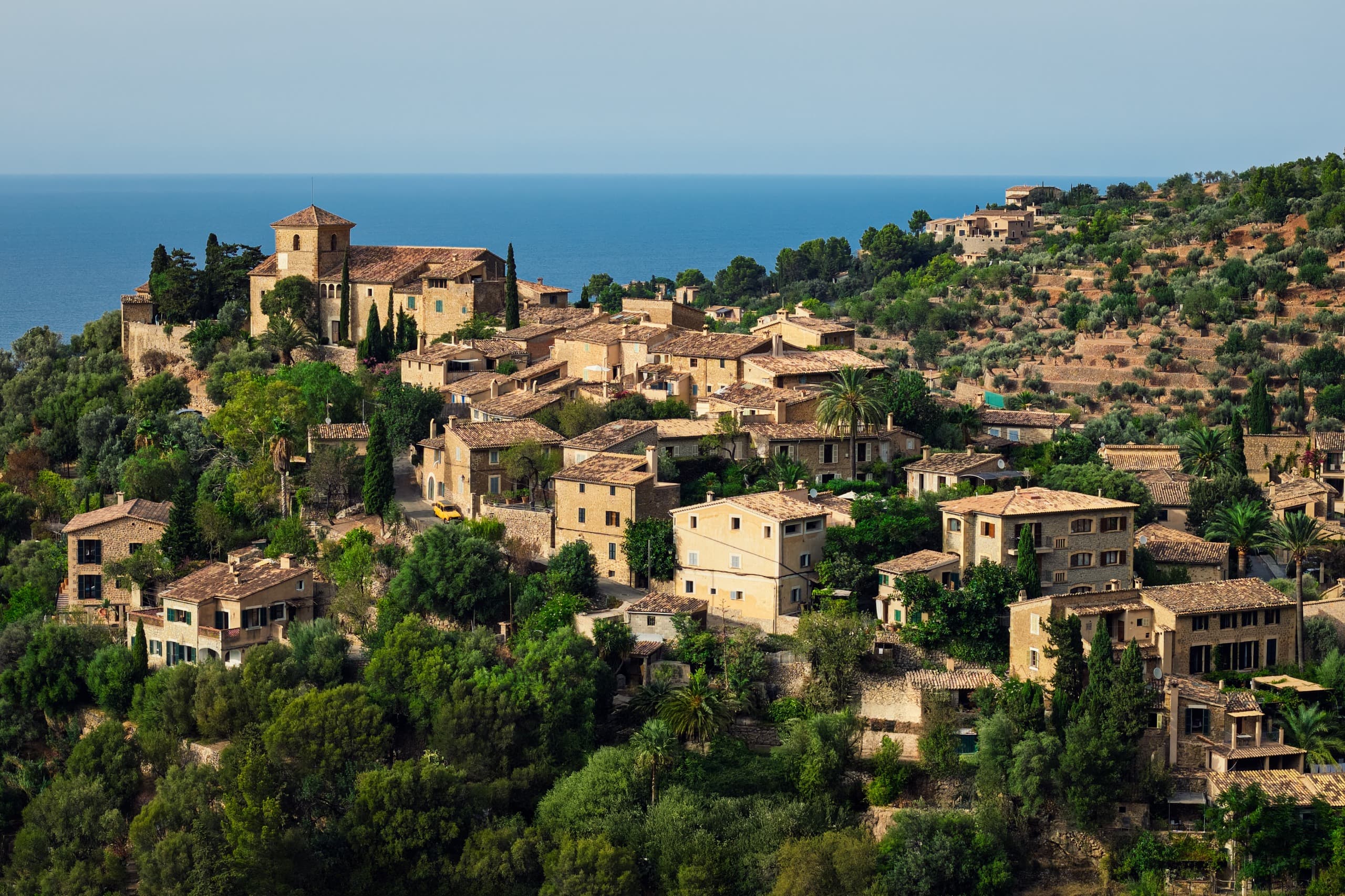 drone shot · village from above